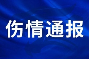 NBA鹈鹕vs黄蜂_NBA鹈鹕vs黄蜂全场次直播_NBA鹈鹕vs黄蜂所有比赛免费看