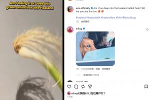 实时美国vs比利时jrs 直播_实时美国vs比利时jrs 直播高清无广告_实时美国vs比利时jrs 直播流畅直播入口