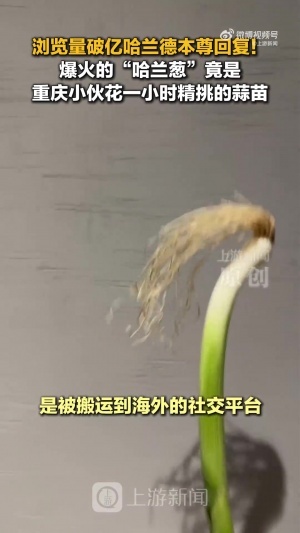 澳西甲科廷大学vs曼都拉_澳西甲科廷大学vs曼都拉在线观看_澳西甲科廷大学vs曼都拉免费高清直播